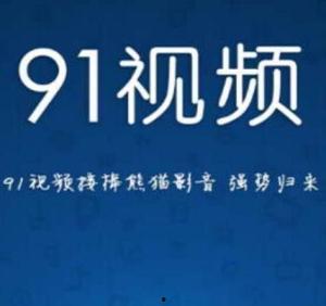 91人品视频入口,揭秘热门视频平台背后的精彩故事