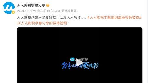 人人影视创始人,从网络影视平台到版权风波的传奇历程